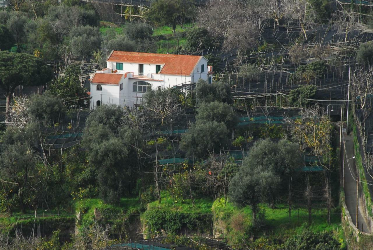 Azienda Agricola Veniero Пьяно-ди-Сорренто Экстерьер фото