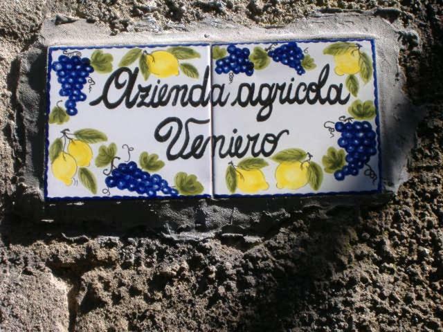 Azienda Agricola Veniero Пьяно-ди-Сорренто Экстерьер фото